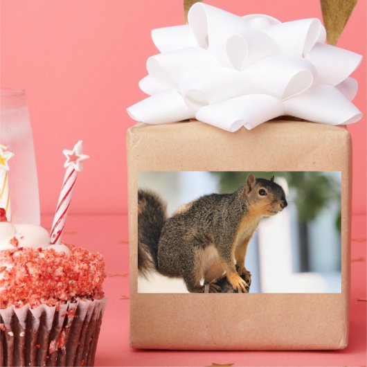 Perch Rechthoekige Sticker (Feest)