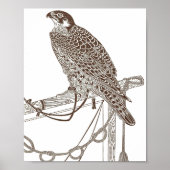Perched Falcon, Iconic, Falcon Art, Japan Print (Voorkant)