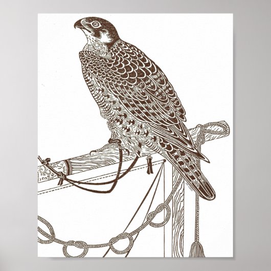 Perched Falcon, Iconic, Falcon Art, Japan Print (Voorkant)