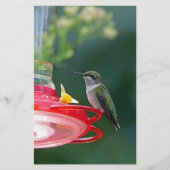 Perched Hummingbird Briefpapier (Voorkant)