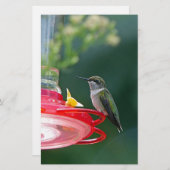 Perched Hummingbird Briefpapier (Voorkant / Achterkant)