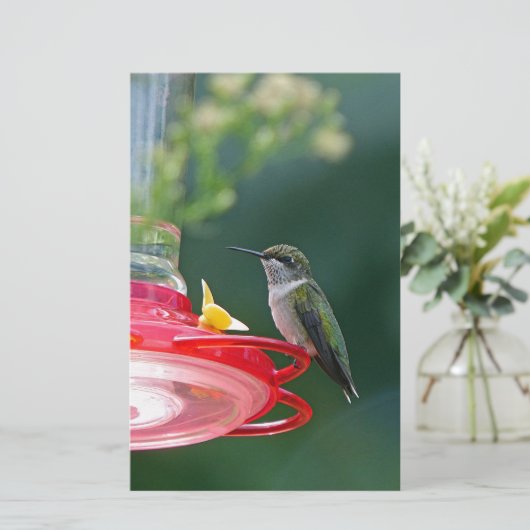 Perched Hummingbird Briefpapier (Staand voorkant)