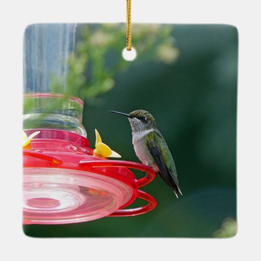 Perched Hummingbird Keramisch Ornament (Achterkant)