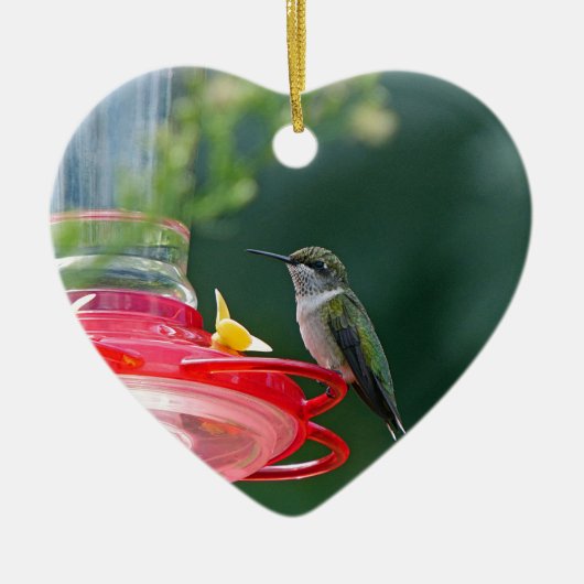 Perched Hummingbird Keramisch Ornament (Voorkant)