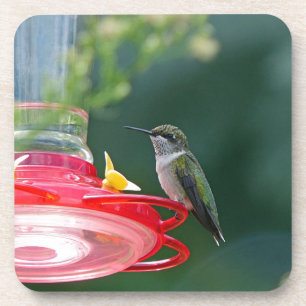 Perched Hummingbird Onderzetter
