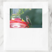 Perched Hummingbird Rechthoekige Sticker (Tas)