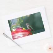 Perched Hummingbird Rechthoekige Sticker (Envelop)