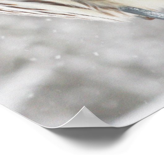 Perched Owl - Poster (Hoek)