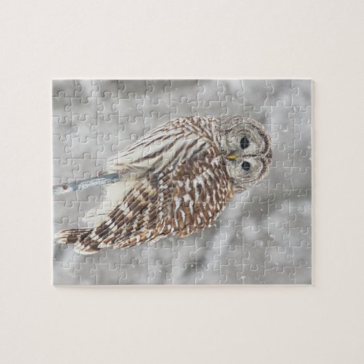 Perched Owl - Puzzle Legpuzzel (Horizontaal)