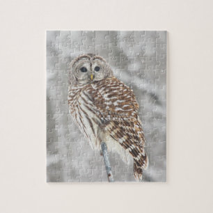 Perched Owl - Puzzle Legpuzzel