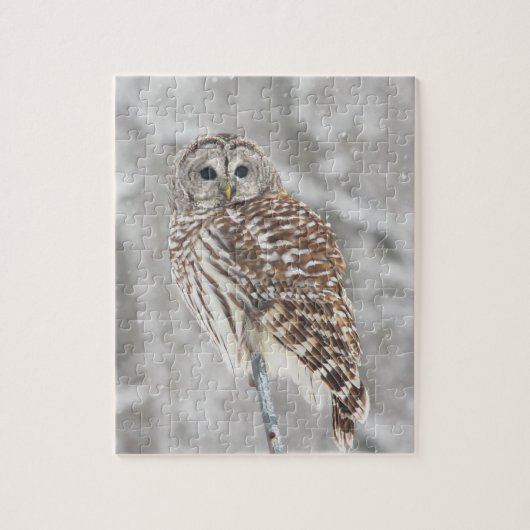 Perched Owl - Puzzle Legpuzzel (Verticaal)