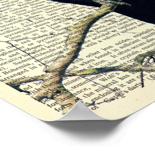 Perched Raven, Crow, Edgar Allan Poe, Gothic Poster (Hoek)