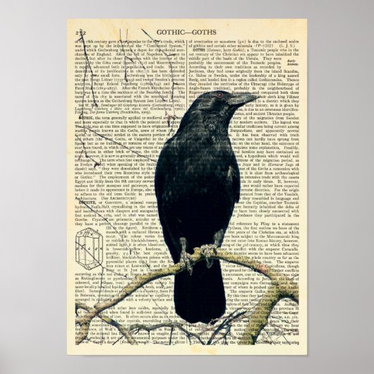 Perched Raven, Crow, Edgar Allan Poe, Gothic Poster (Voorkant)