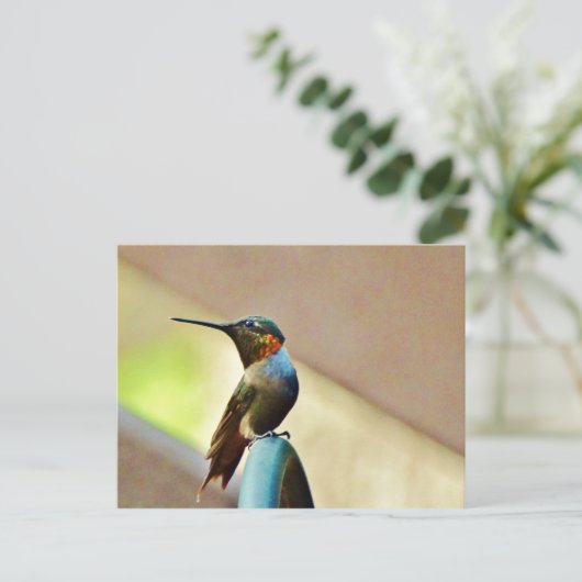 Perched Ruby en Green Little Hummingbird Briefkaart (Staand voorkant)