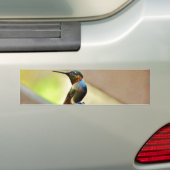 Perched Ruby en Green Little Hummingbird Bumpersticker (Op auto)