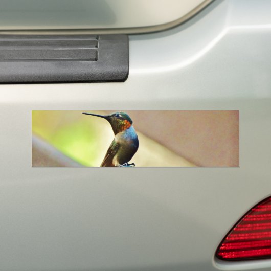 Perched Ruby en Green Little Hummingbird Bumpersticker (Op auto)