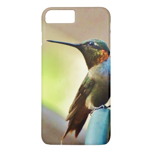 Perched Ruby en Green Little Hummingbird Case-Mate iPhone Case (Achterkant)