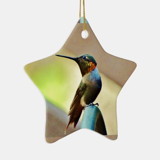 Perched Ruby en Green Little Hummingbird Keramisch Ornament (Rechts)