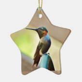 Perched Ruby en Green Little Hummingbird Keramisch Ornament (Links)