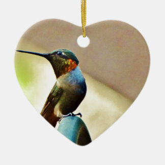 Perched Ruby en Green Little Hummingbird Keramisch Ornament