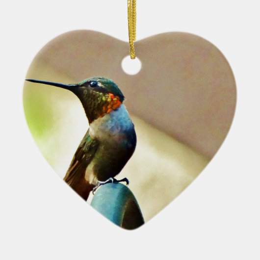Perched Ruby en Green Little Hummingbird Keramisch Ornament (Voorkant)