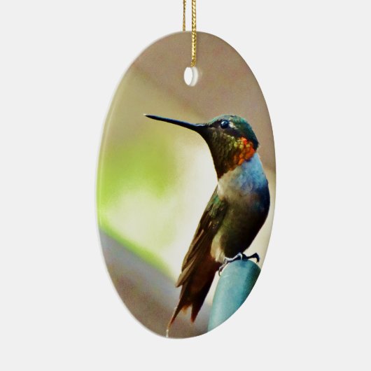 Perched Ruby en Green Little Hummingbird Keramisch Ornament (Rechts)