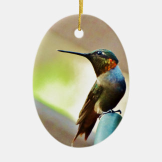 Perched Ruby en Green Little Hummingbird Keramisch Ornament
