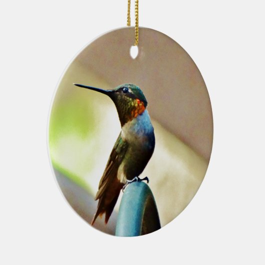 Perched Ruby en Green Little Hummingbird Keramisch Ornament (Rechts)