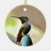 Perched Ruby en Green Little Hummingbird Keramisch Ornament (Voorkant)