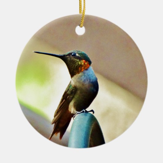 Perched Ruby en Green Little Hummingbird Keramisch Ornament (Voorkant)