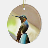 Perched Ruby en Green Little Hummingbird Keramisch Ornament (Links)