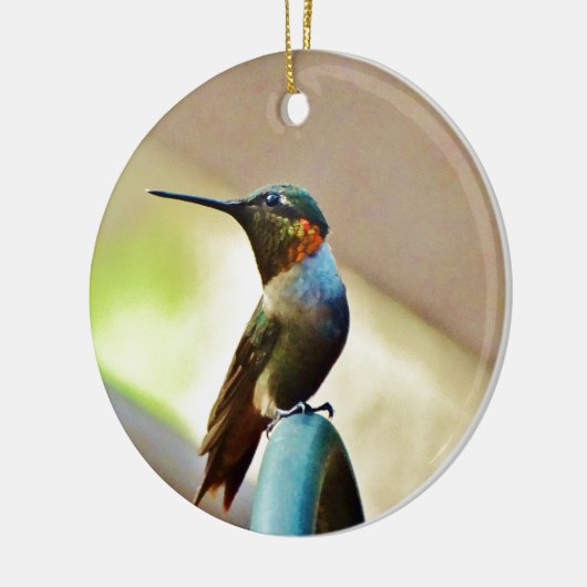 Perched Ruby en Green Little Hummingbird Keramisch Ornament (Links)