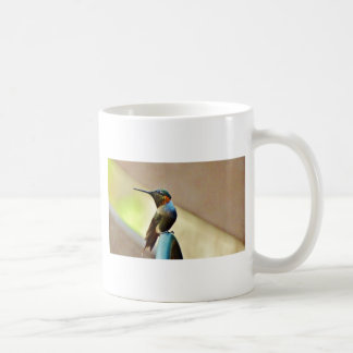 Perched Ruby en Green Little Hummingbird Koffiemok