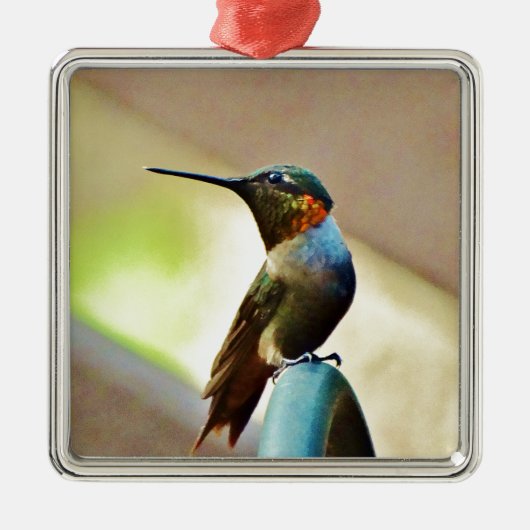 Perched Ruby en Green Little Hummingbird Metalen Ornament (Voorkant)