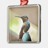 Perched Ruby en Green Little Hummingbird Metalen Ornament (Links)