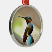 Perched Ruby en Green Little Hummingbird Metalen Ornament (Rechts)