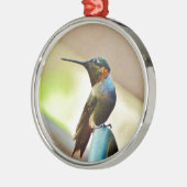 Perched Ruby en Green Little Hummingbird Metalen Ornament (Links)