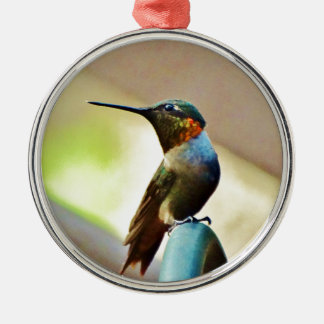 Perched Ruby en Green Little Hummingbird Metalen Ornament