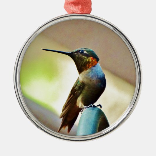 Perched Ruby en Green Little Hummingbird Metalen Ornament (Voorkant)