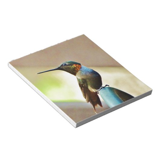 Perched Ruby en Green Little Hummingbird Notitieblok (Schuin)