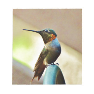 Perched Ruby en Green Little Hummingbird Notitieblok