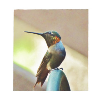 Perched Ruby en Green Little Hummingbird Notitieblok