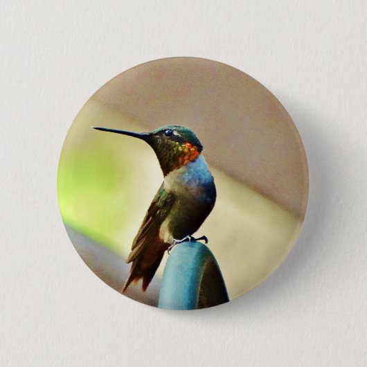Perched Ruby en Green Little Hummingbird Ronde Button 5,7 Cm (Voorkant)