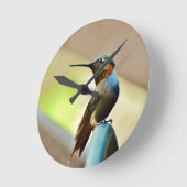 Perched Ruby en Green Little Hummingbird Ronde Klok (Hoek)