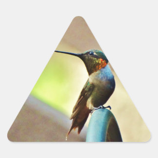 Perched Ruby en Green Little Hummingbird Sticker