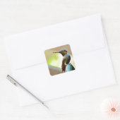 Perched Ruby en Green Little Hummingbird Vierkante Sticker (Envelop)