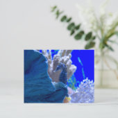 Perched Seahorse Briefkaart (Staand voorkant)