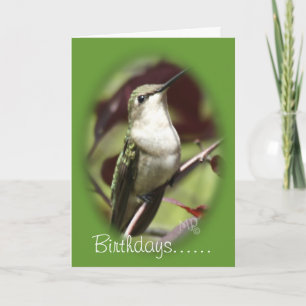 Perched vrouw Hummingbird- elke gelegenheid aanpas Kaart