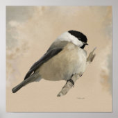 Perched Willow Tit Poster (Voorkant)