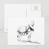 Percheron Draft Horse Equine Art Postcard Briefkaart (Voorkant / Achterkant)